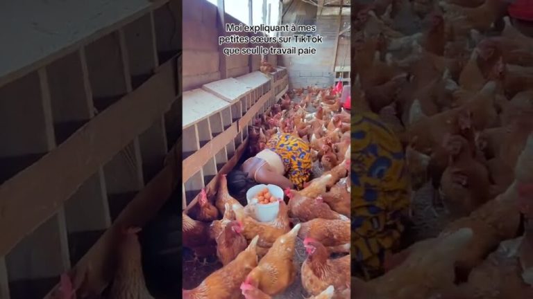 nid de poule seul le travail payenid de pouleseul le 1024x576 1