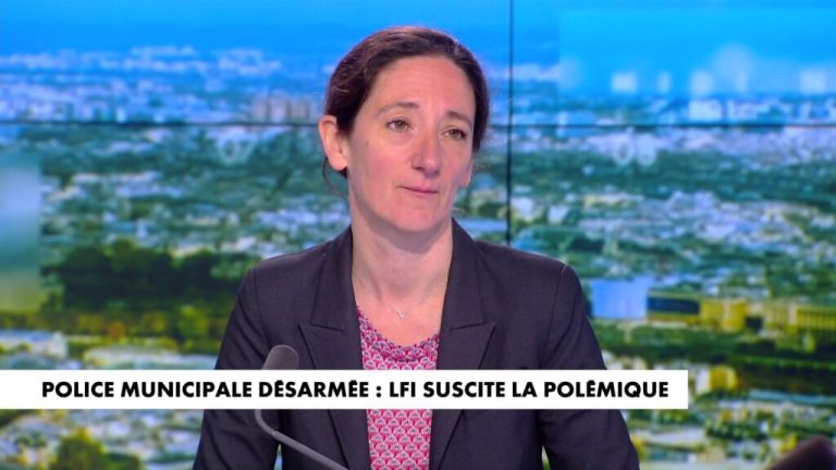 Daily Motion police municipale Anouk Fourmigue Desarmer la police 1024x576 1