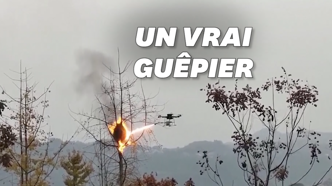 Dailymotion En Chine, un drone lance-flammes pour détruire les nids de guêpes